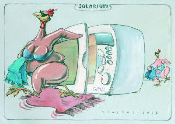 poulet 0002-humourenvrac